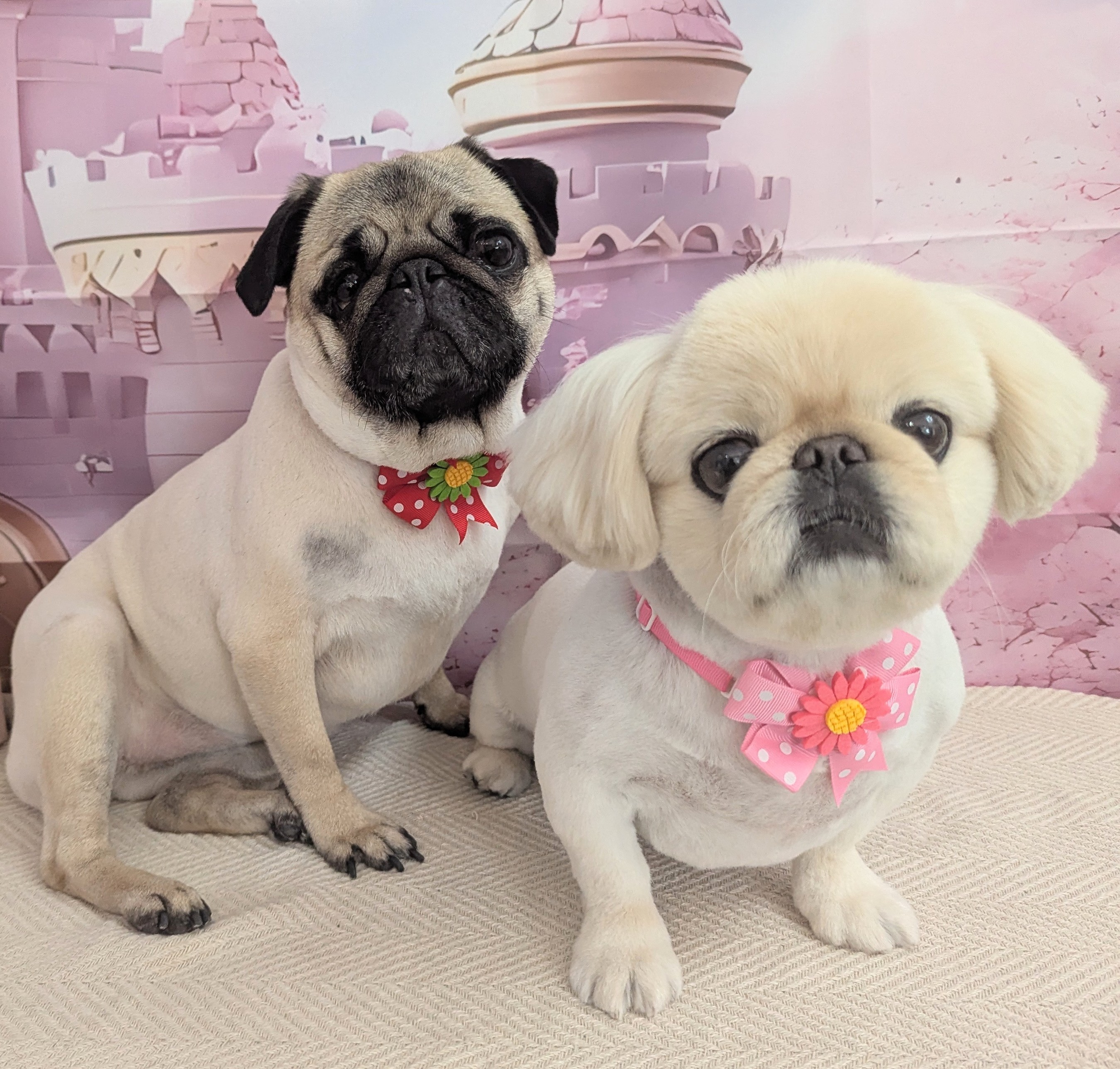 無理なく、楽しく、心地よく