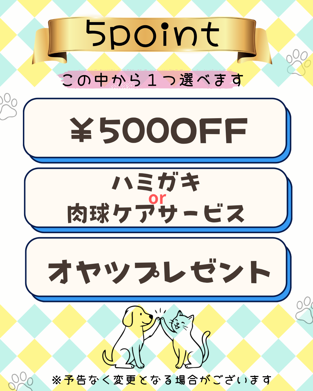 ５ポイント